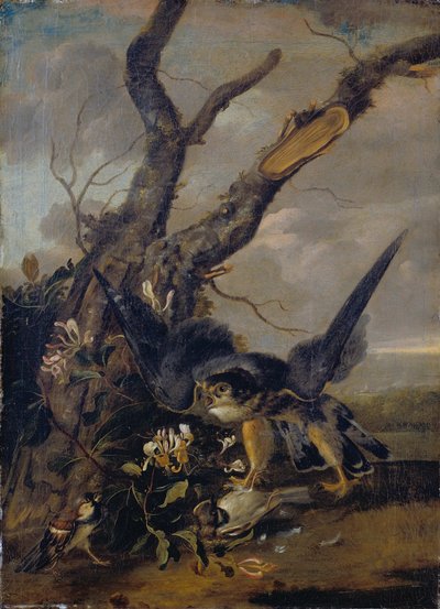 Hawk and Sparrows by Unbekannt Unbekannt